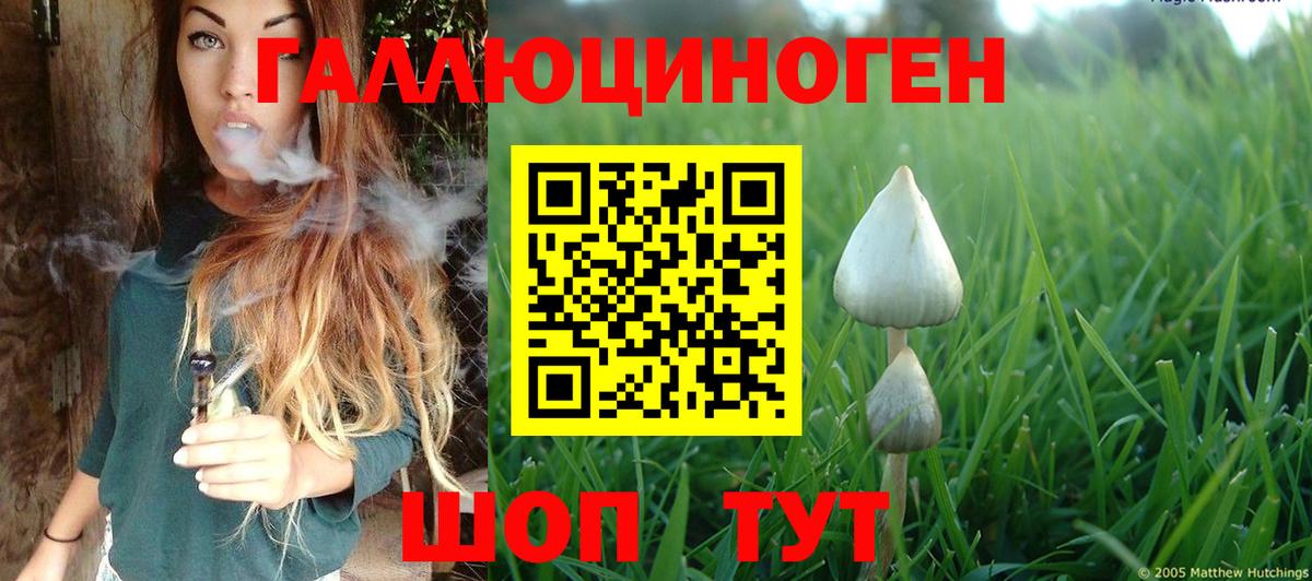 Псилоцибиновые грибы ЛСД  Вход с VPN  Галлюциногенные грибы GOLDEN TEACHER  Иваново 